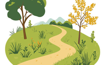 About the ISO 14001:2026 Revision